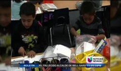 Votantes divididos por propuesta electoral