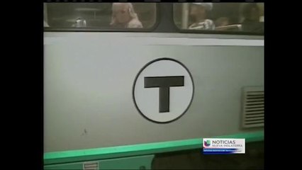 Innovaciones en la linea verde del T