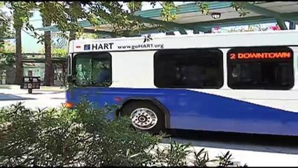 Transporte gratis para las elecciones en Hillsborough