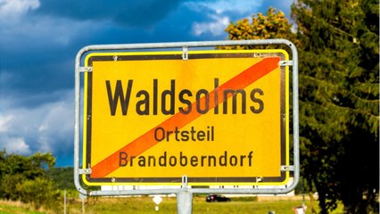 Le don très généreux d’une femme à ses voisins en Allemagne