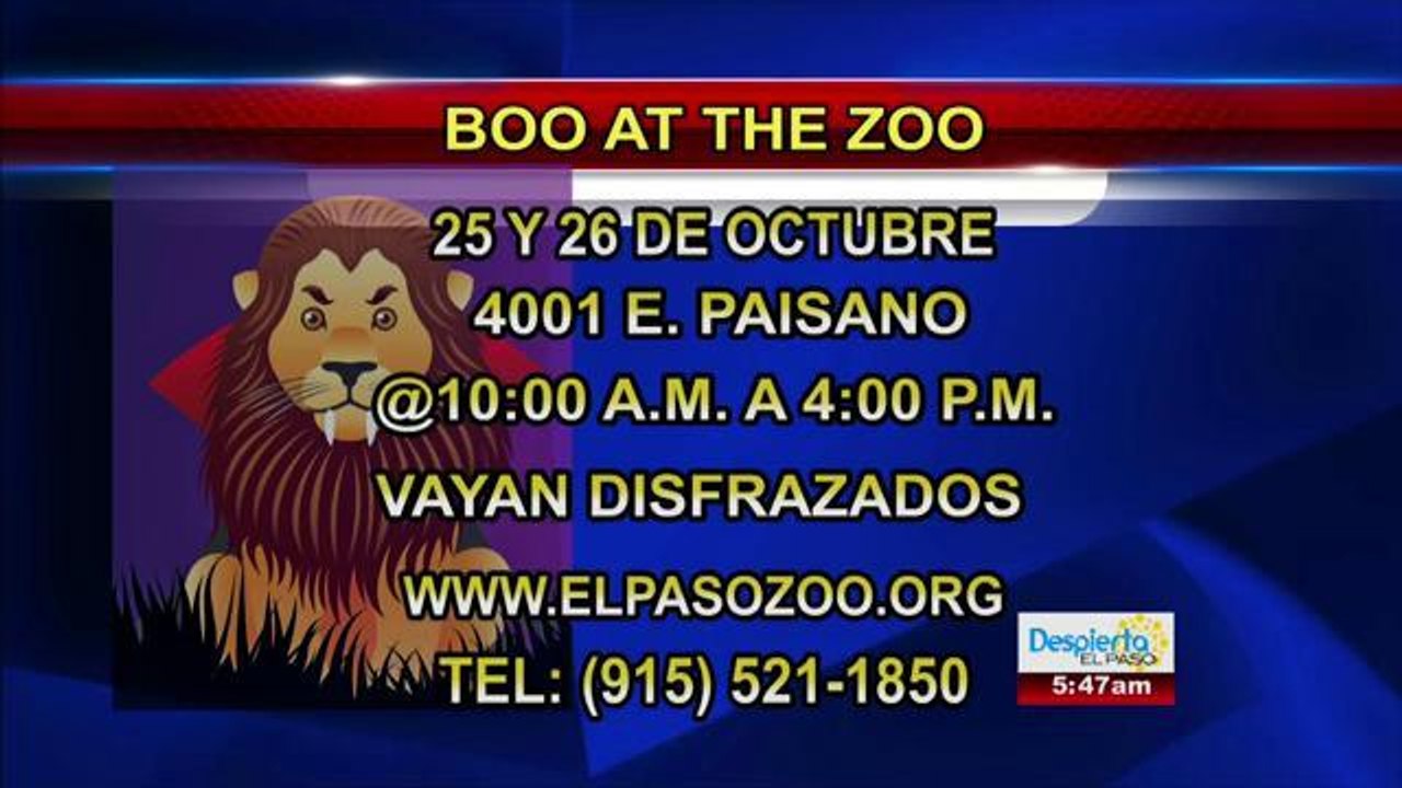 BOO AT THE ZOO
