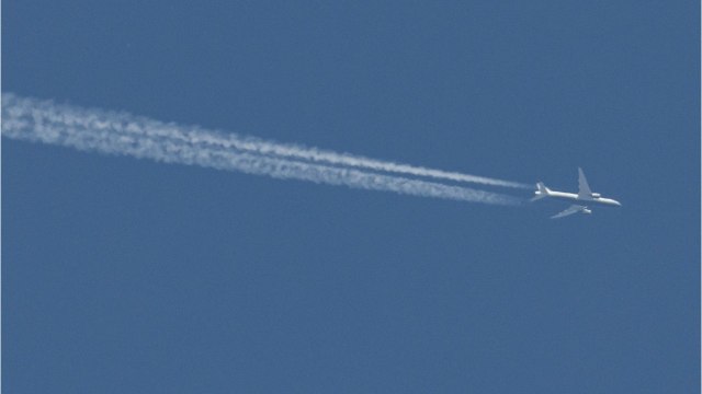 Les frontières seront-elles ouvertes cet été à l'intérieur de l'Europe ?