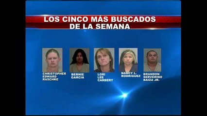 Los cinco más buscados de la semana