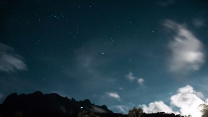 pexels-pat-whelen-5736008