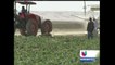 La sequía ya afecta a los agricultores del Valle de San Joaquín