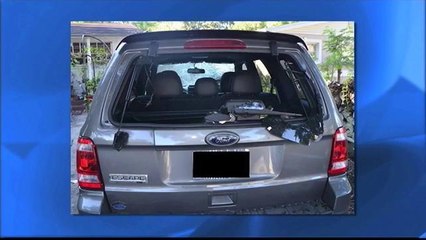 Autos vandalizados en el sur de Tampa