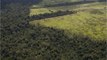 Brésil : Jair Bolsonaro contraint de lutter contre la déforestation en Amazonie ?