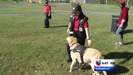 Continúan los esfuerzos por encontrar a la pequeña Relisha Rudd