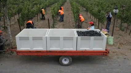 WA: Arremeten contra nuevos estándares de protección contra pesticidas