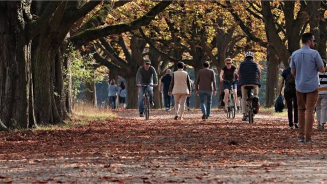 Moustache Bikes : les vélos électriques français qui ont la tête dans le guidon