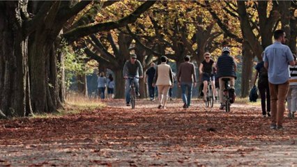 Moustache Bikes : les vélos électriques français qui ont la tête dans le guidon