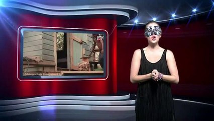 Juan Luis Guerra sigue poniendo el merengue en alto
