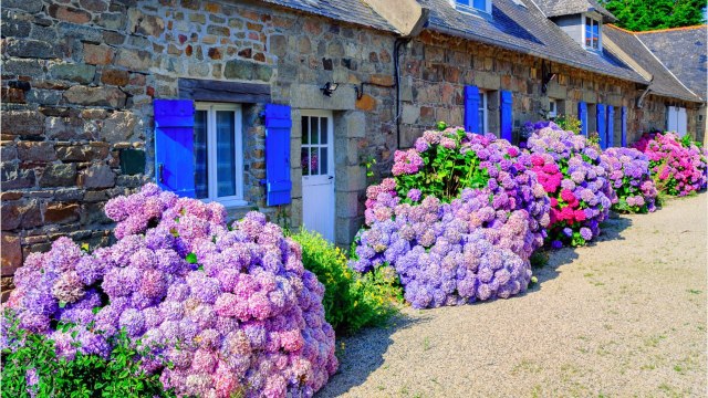 Immobilier : les prix explosent dans l’Ouest de la France