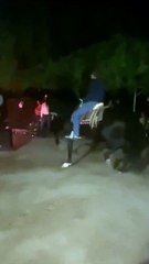 Quand ton cheval en a marre de ta choré de merde