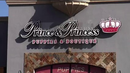 Kirk Bills se declaró culpable