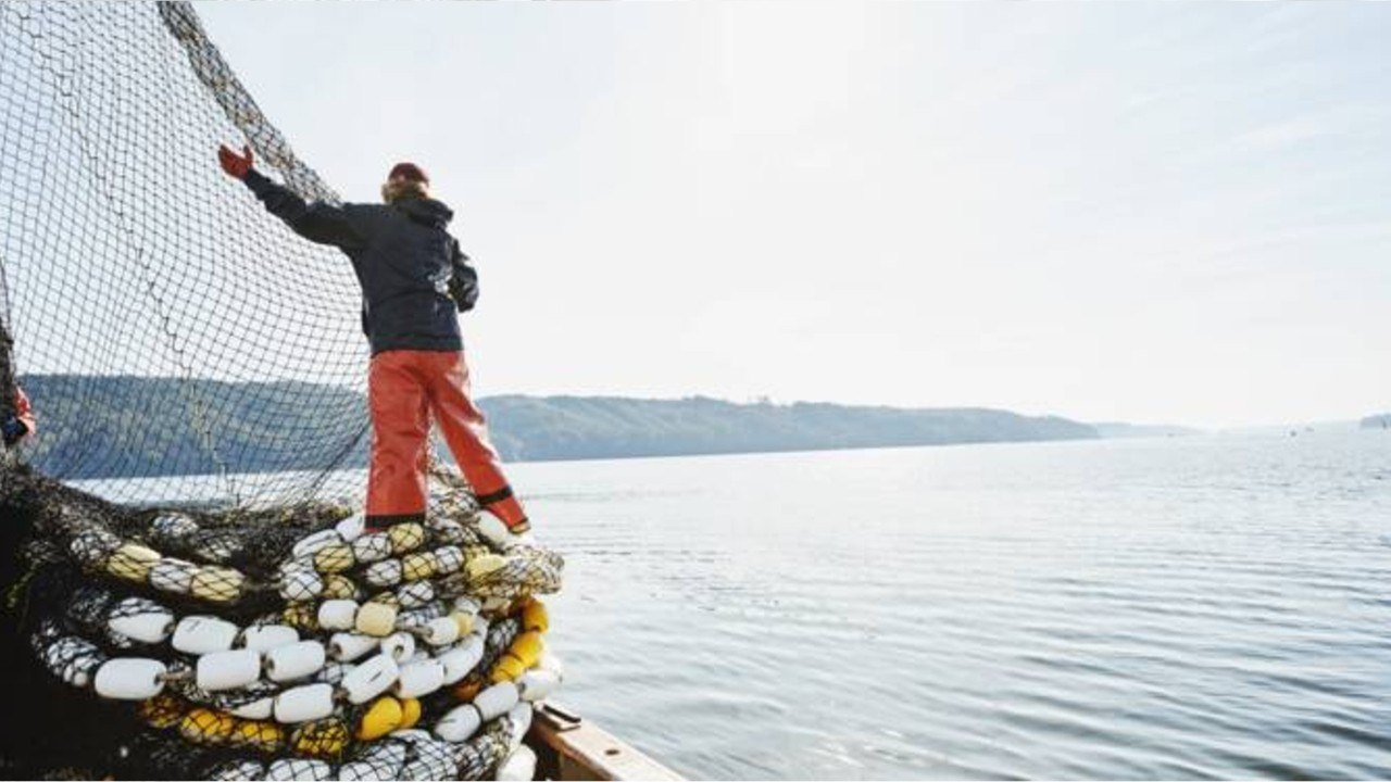 Brexit : les quotas de pêche de l'UE reconduits, douloureux compromis en Méditerranée