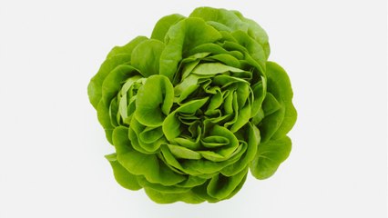 De la salmonelle dans des salades vendues par Leclerc, Auchan, U, Intermarché et Carrefour