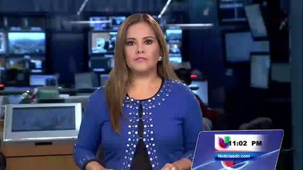 Resumen de los candidatos locales