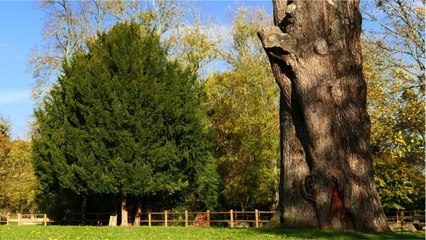 Center Parcs attaqué en justice par 200 particuliers