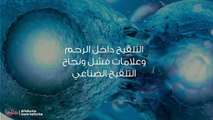 هل أكمل دراستي أم أجري عملية التلقيح؟