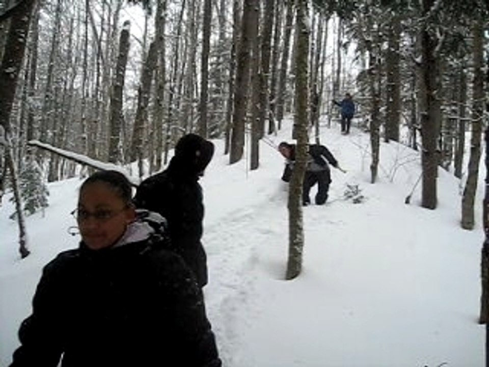 Balade en foret