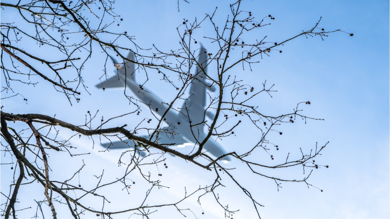 Photo Dun Avion Dans Le Ciel Avec Des Branches Boeing distancé par Airbus en mai, le 737 MAX victime d'annulations de  commandes - Capital.fr