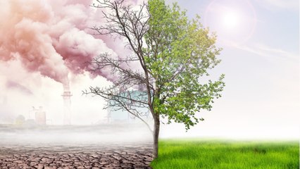 Les 4 grands chocs qui guettent les pays riches dans les années 2020, selon Natixis