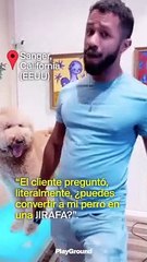 El perro jirafa