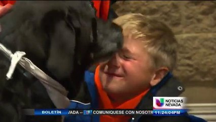 El beneficio de tener una mascota