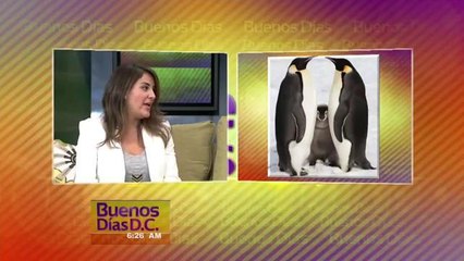 DC: Exposiciones para visitar 11/14/2014