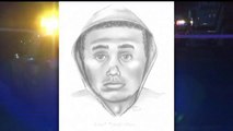 Revelan retrato hablado de presunto ladrón y asesino