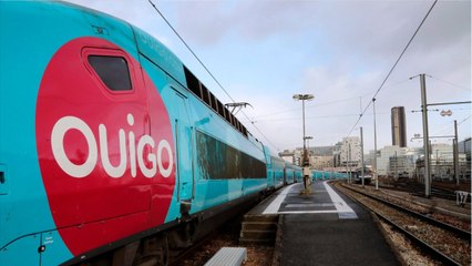 Pourquoi les trains Ouigo souffrent plus de la chaleur que les TGV