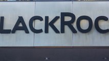 La société BlackRock a-t-elle eu une influence dans la réforme des retraites ?