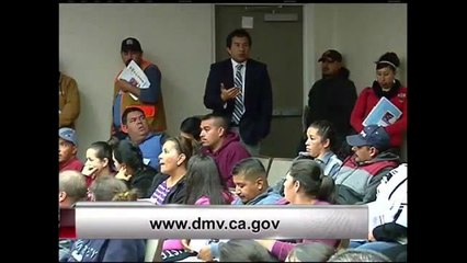 Guías para licencias de conducir