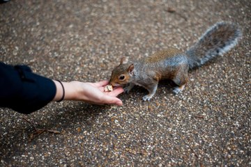 PER : comment transférer son ancien produit d’épargne retraite ?