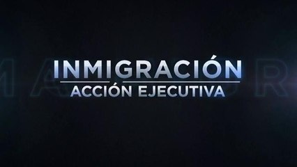 Más detalles sobre la acción ejecutiva