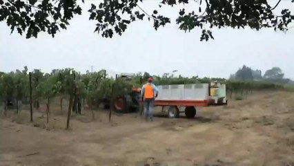 FL: Dirigente campesino opina sobre acciones ejecutivas