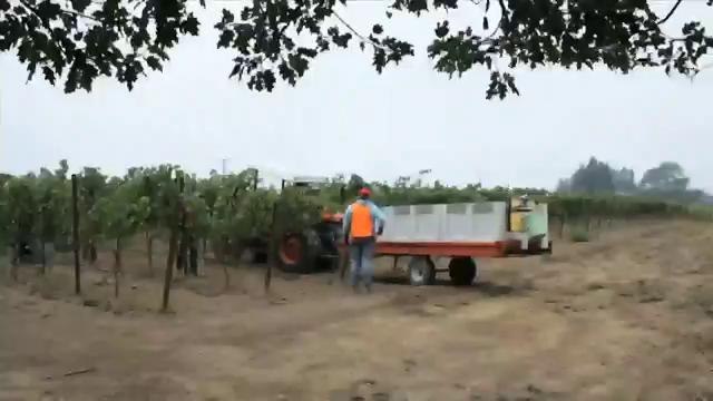 FL: Dirigente campesino opina sobre acciones ejecutivas