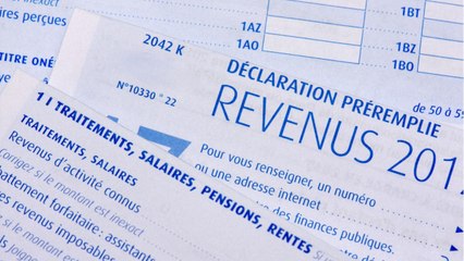 "Il faudrait réformer en profondeur l’impôt sur le revenu"