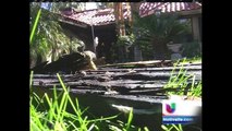 Un incendio en Rancho Mirage deja a dos personas sin hogar