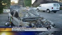 Aptos Car Vandalism Spree