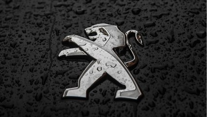 Une Peugeot 406 affiche plus d'un million de kilomètres au compteur, un record !