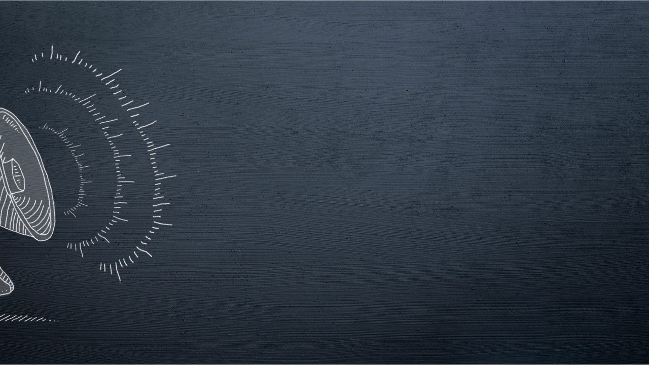 Retraite des contractuels de la fonction publique : attention à la prise en compte de vos périodes de chômage