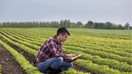 Réforme des retraites : les propositions qui crispent les agriculteurs