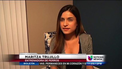 Asistencia a diabéticos por medio de perros entrenados