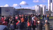 Espectacular protesta de los ganaderos gallegos por los bajos precios de la leche