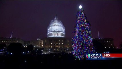 DC: Encienden árbol de Navidad del Capitolio