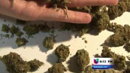 Senador de Virginia quiere despenalizar la posesión de marihuana