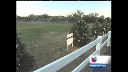 Los árboles de navidad desechados se usarán para proteger peces