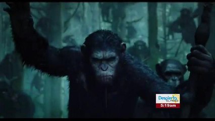 ESTRENOS EN DVD Y BLU RAY